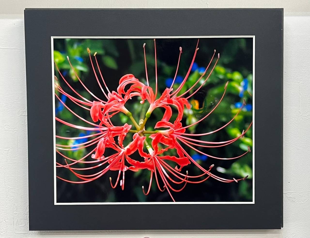 ♡お店に展示中♡